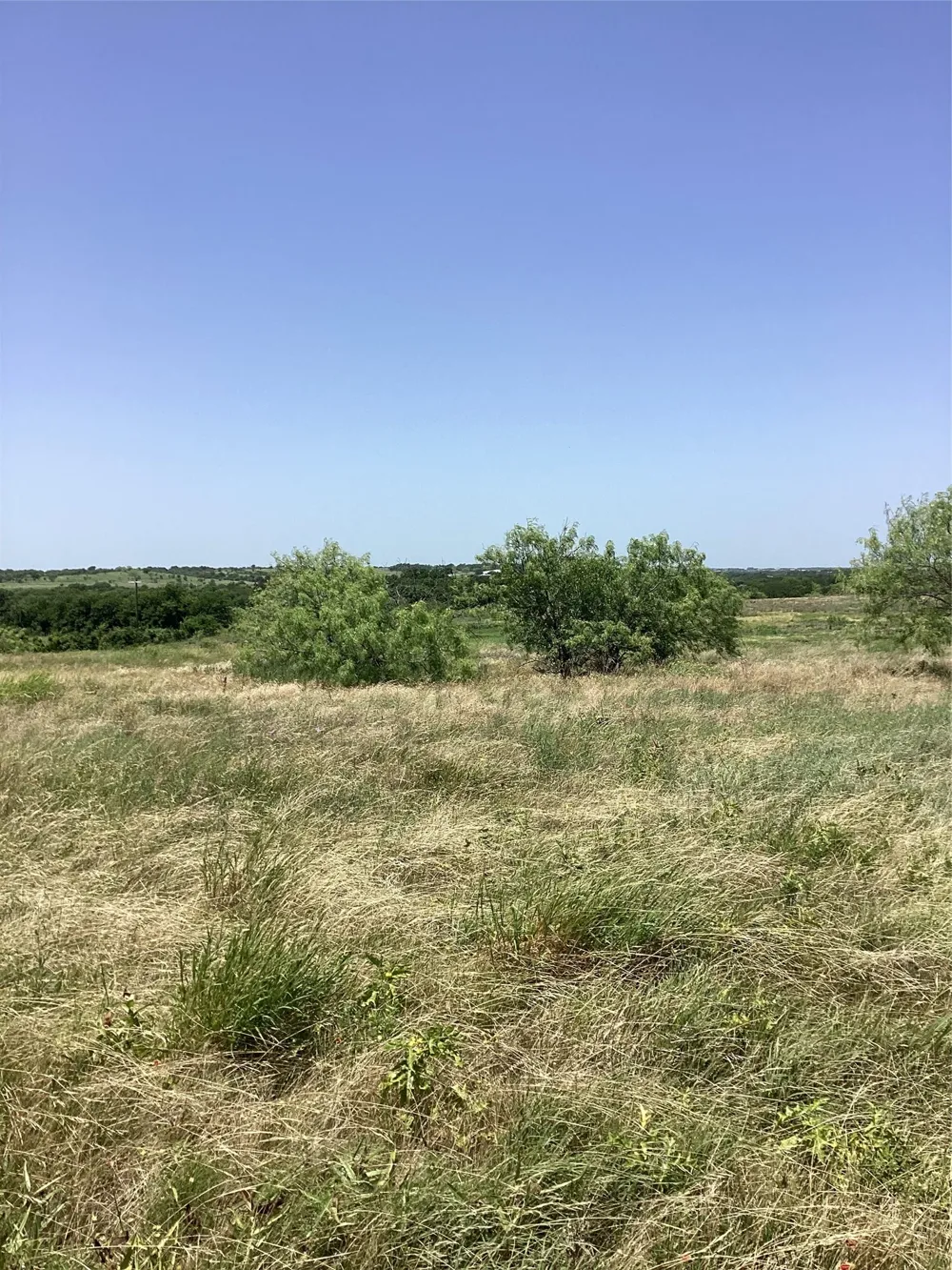424 Pedernalis Aledo, TX 76008