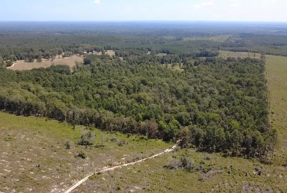 Mt Sinai Road E Colmesneil, TX 75938