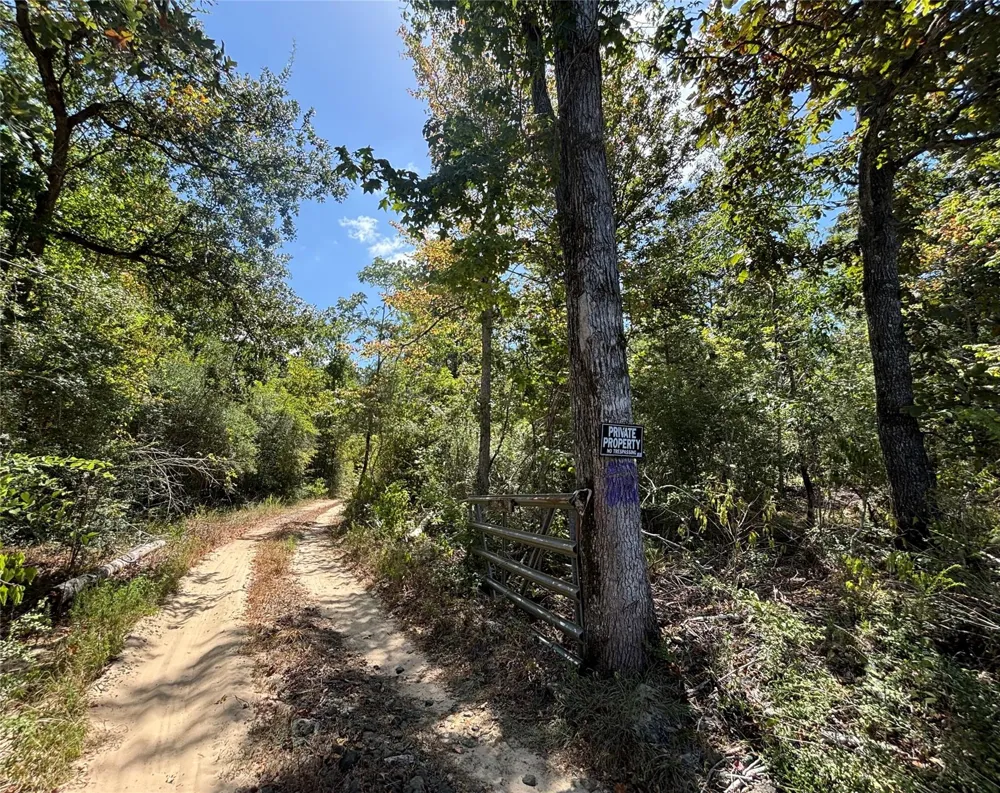 Mt Sinai Road E Colmesneil, TX 75938