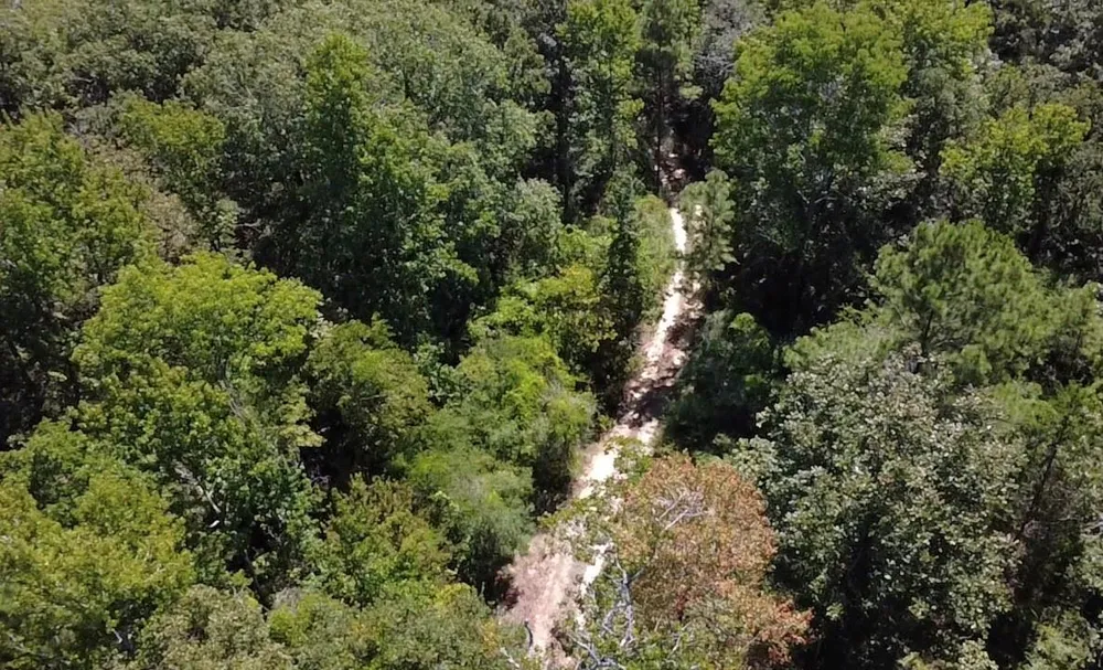 Mt Sinai Road E Colmesneil, TX 75938