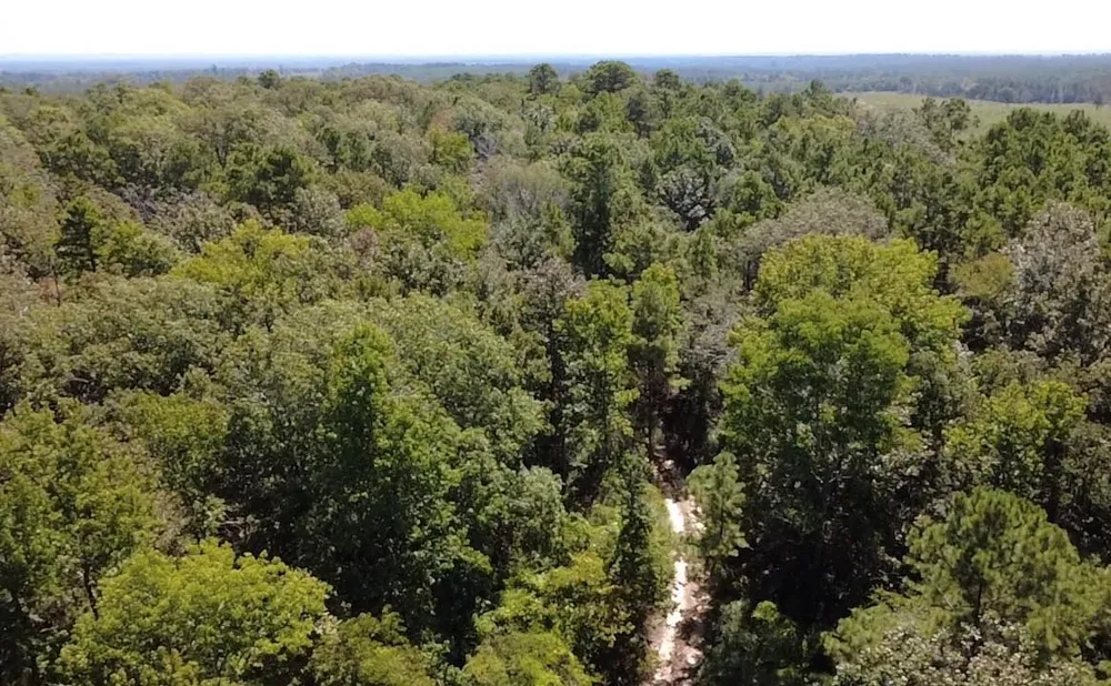 Mt Sinai Road E Colmesneil, TX 75938