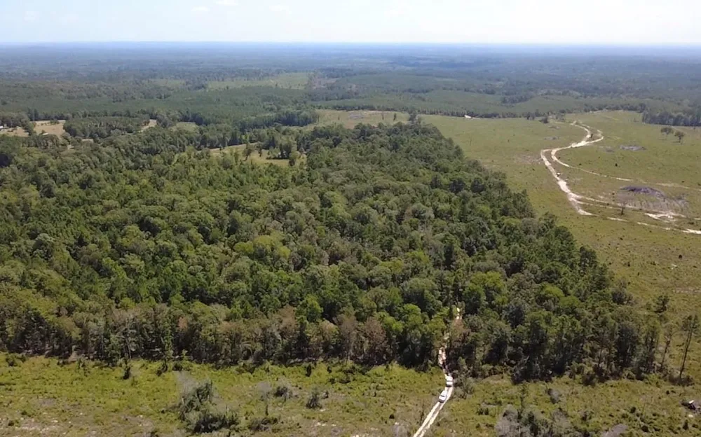 Mt Sinai Road E Colmesneil, TX 75938