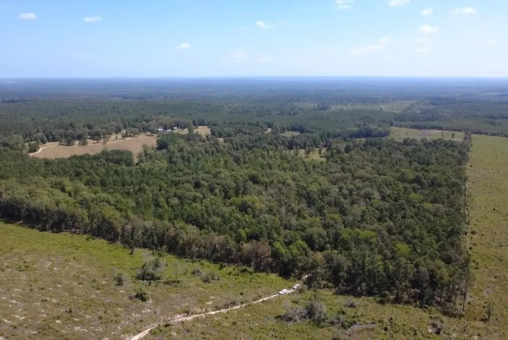 Mt Sinai Road E Colmesneil, TX 75938