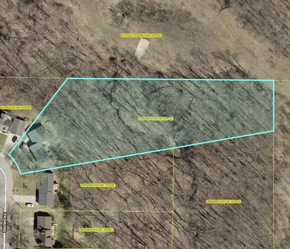 1448 Baywicke Drive SE Lowell, MI 49331