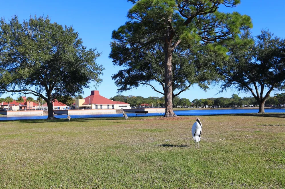 1212 Paurotis Drive Barefoot Bay, FL 32976
