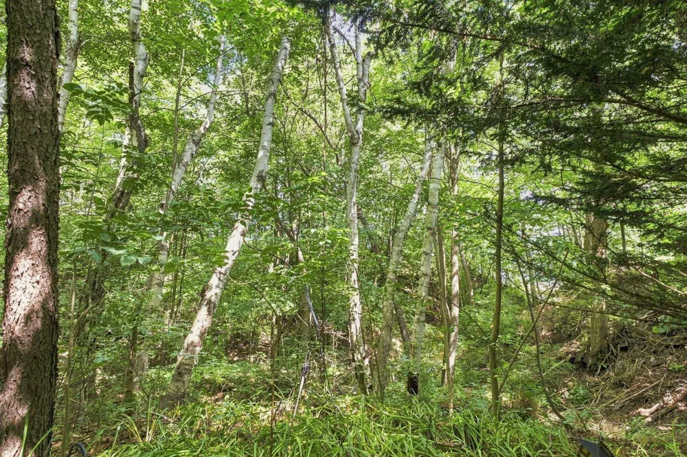 7387 Walbridge Road Worth Township, MI 48450