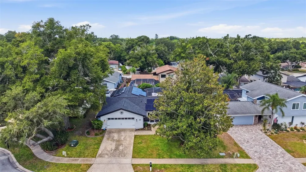 3916 BLOOMING HILL LANE Palm Harbor, FL 34684