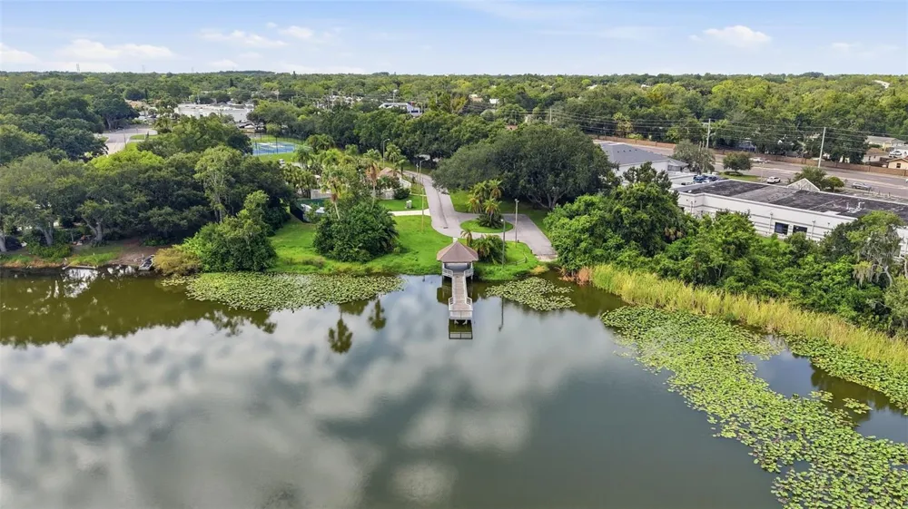 3916 BLOOMING HILL LANE Palm Harbor, FL 34684