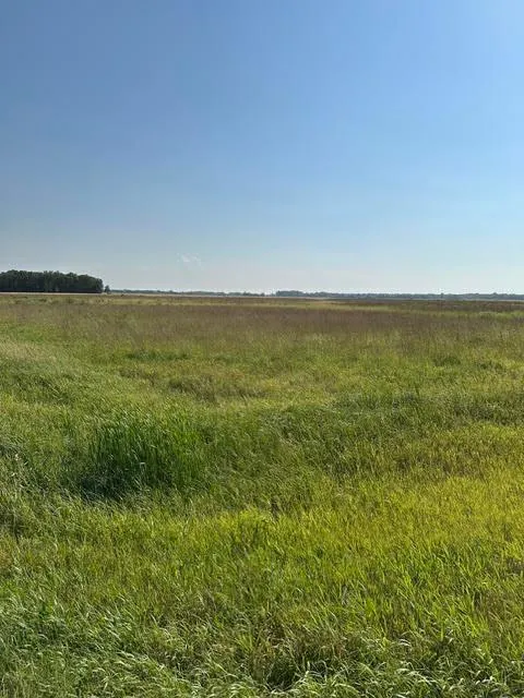 TBD 140th St. NE Thief River Falls, MN 56701