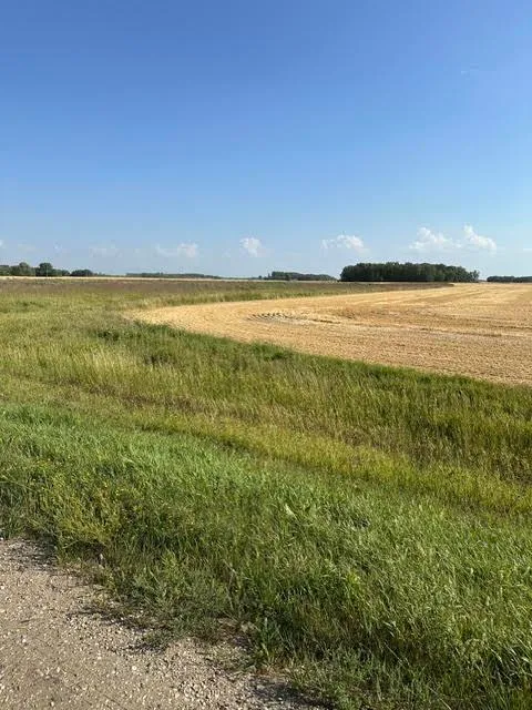 TBD 140th St. NE Thief River Falls, MN 56701