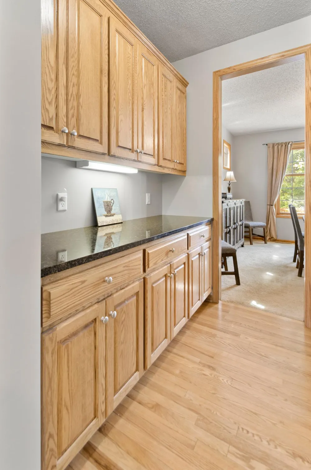 370 Liberty Heights Drive Chaska, MN 55318