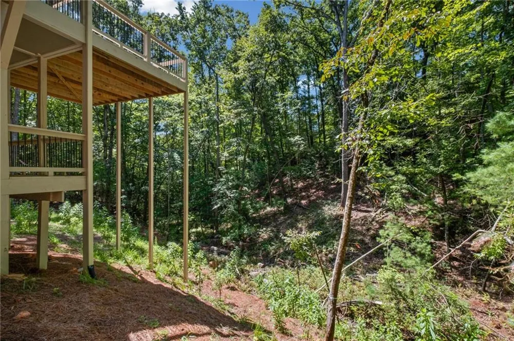 56 Black Bear Point Big Canoe, GA 30143