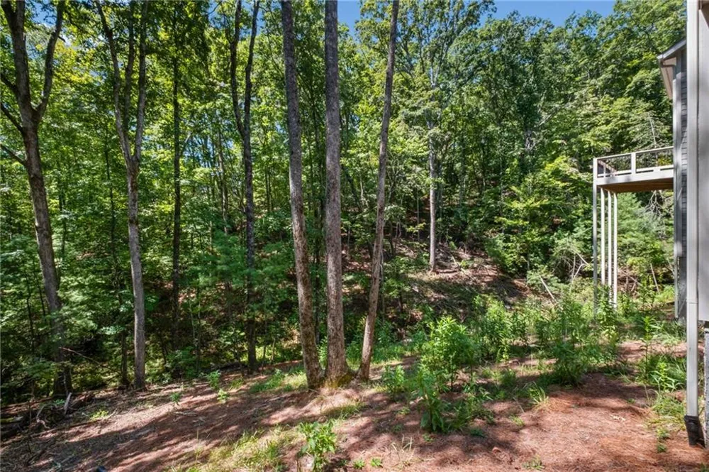 56 Black Bear Point Big Canoe, GA 30143