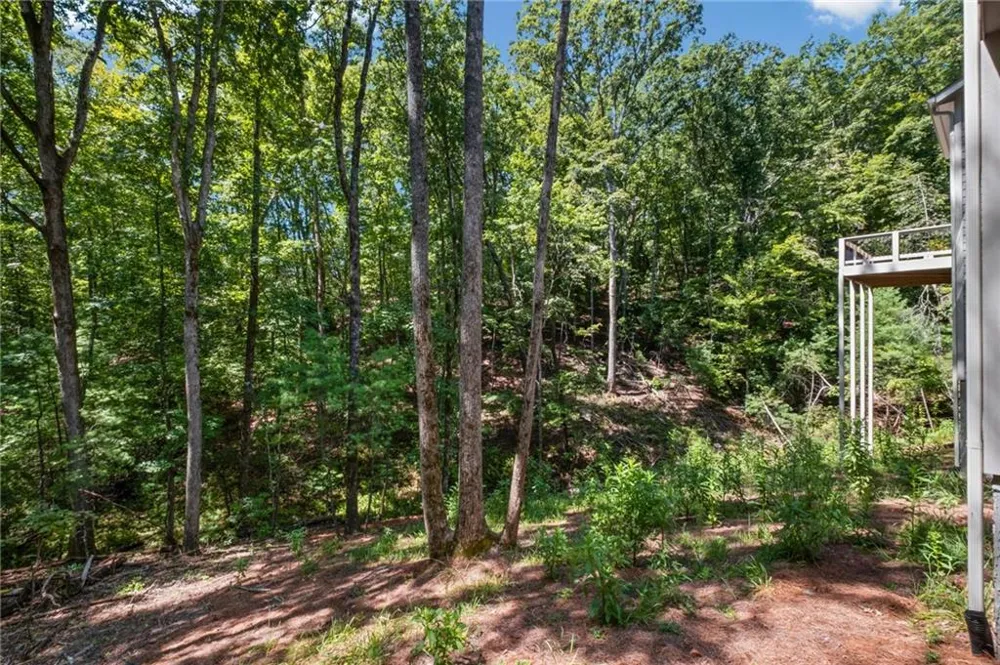 56 Black Bear Point Big Canoe, GA 30143