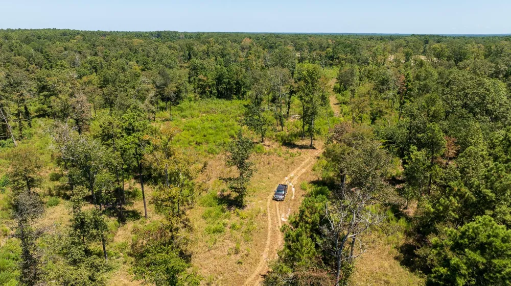 College Dr Lufkin, TX 75901