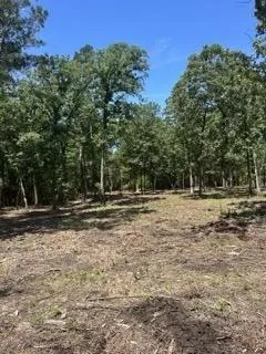 College Dr Lufkin, TX 75901