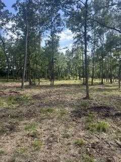 College Dr Lufkin, TX 75901