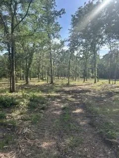 College Dr Lufkin, TX 75901