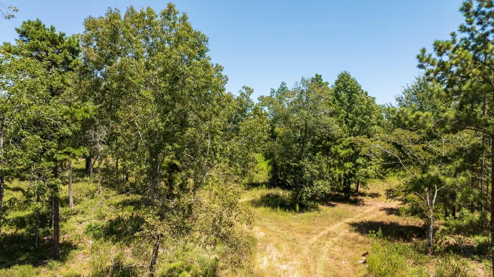 College Dr Lufkin, TX 75901