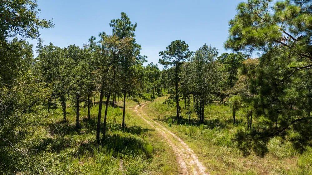 College Dr Lufkin, TX 75901