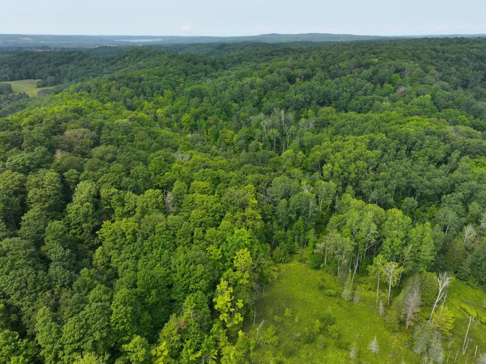 20 Lambdin Road East Jordan, MI 49727