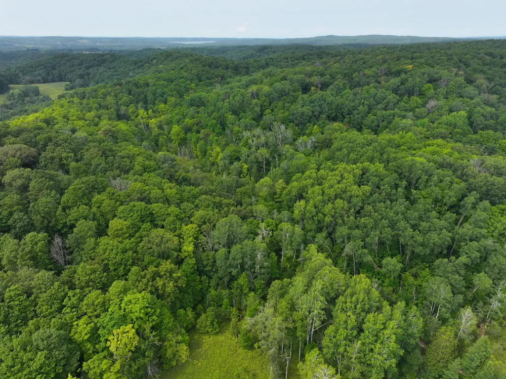 20 Lambdin Road East Jordan, MI 49727