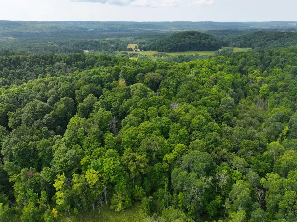 20 Lambdin Road East Jordan, MI 49727