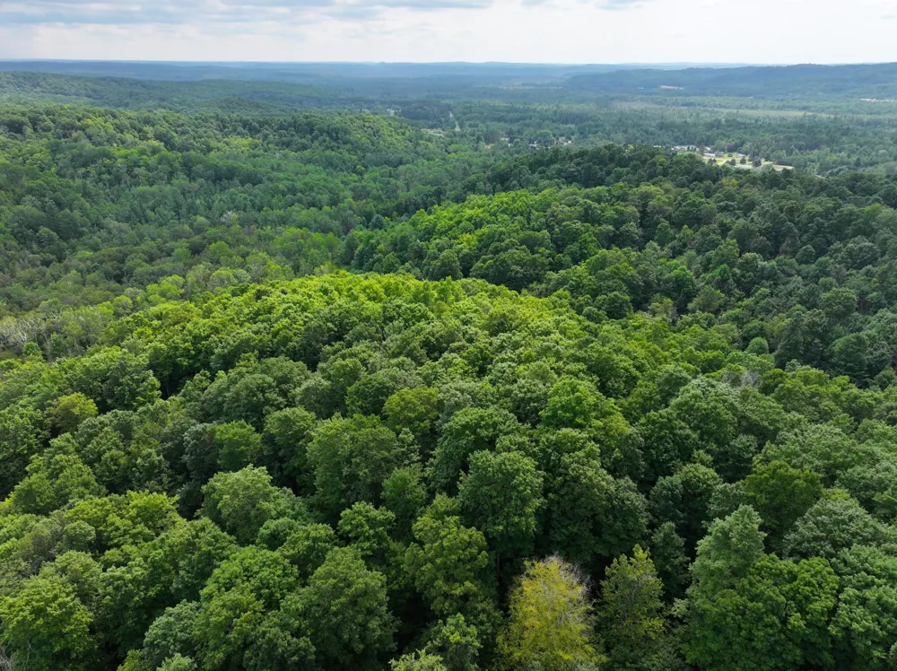 20 Lambdin Road East Jordan, MI 49727