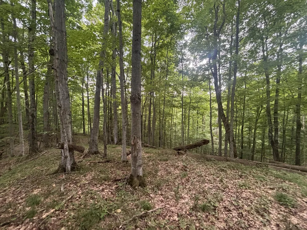 20 Lambdin Road East Jordan, MI 49727