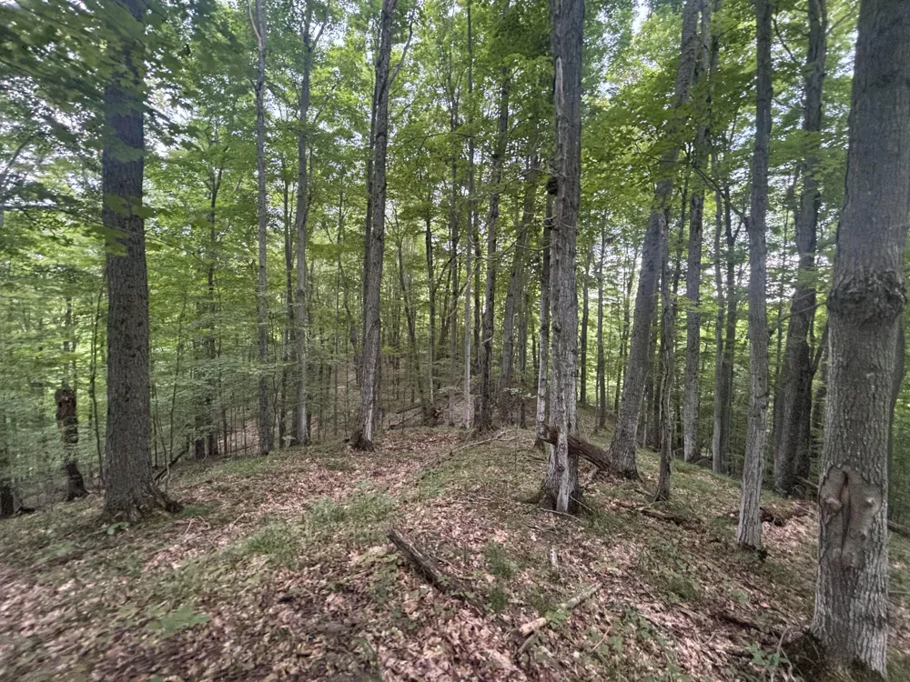 20 Lambdin Road East Jordan, MI 49727