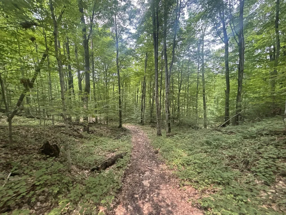 20 Lambdin Road East Jordan, MI 49727