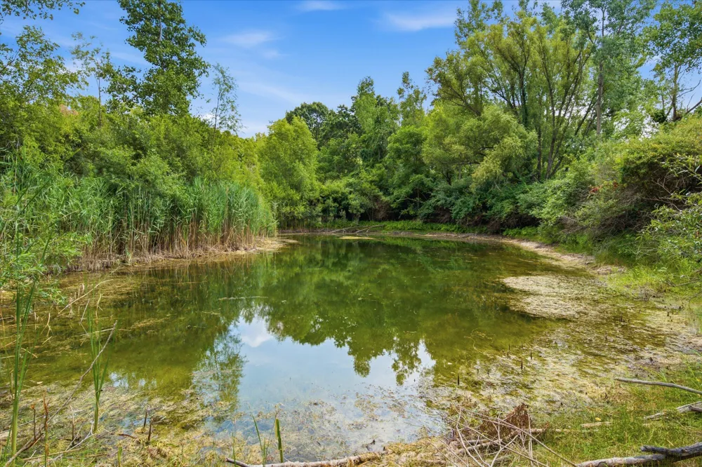 11144 Horton Road Holly, MI 48442