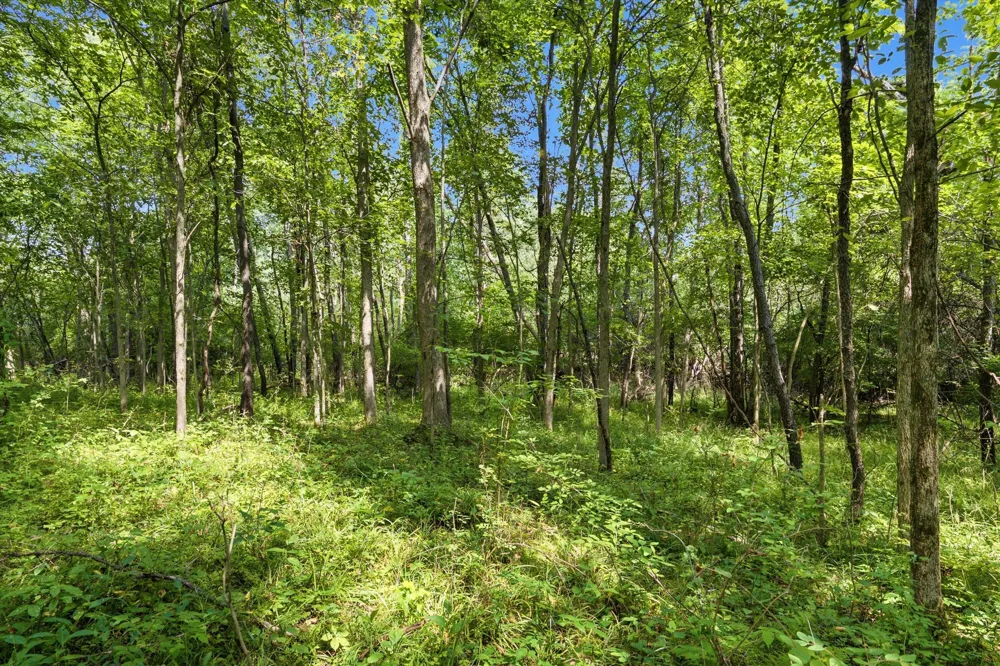 11144 Horton Road Holly, MI 48442