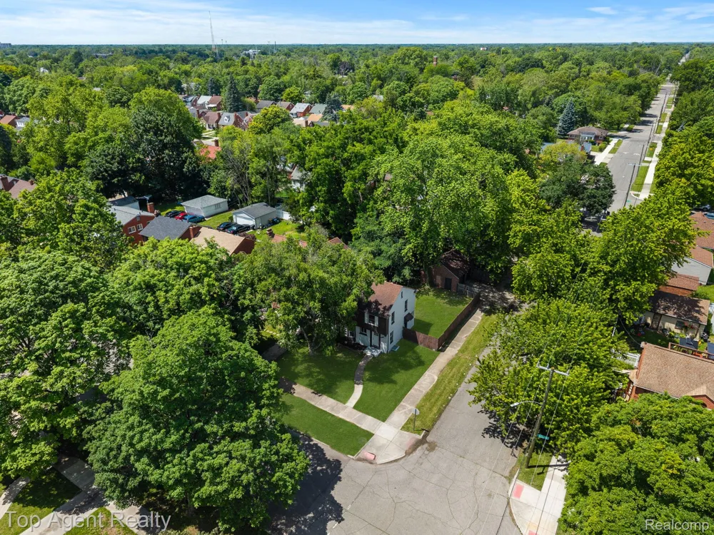 14257 Artesian Street Detroit City, MI 48223