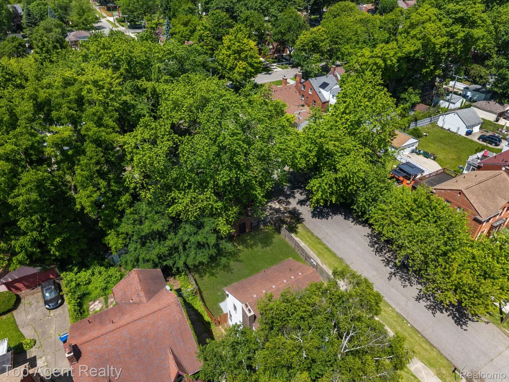 14257 Artesian Street Detroit City, MI 48223