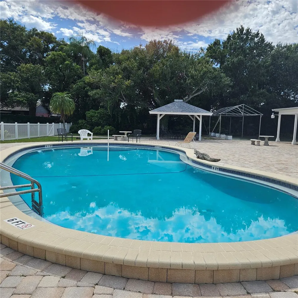 802 BRANDY WINE DRIVE Largo, FL 33771