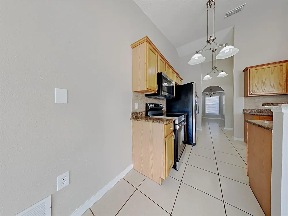 1322 DRAGON HEAD DRIVE Valrico, FL 33594