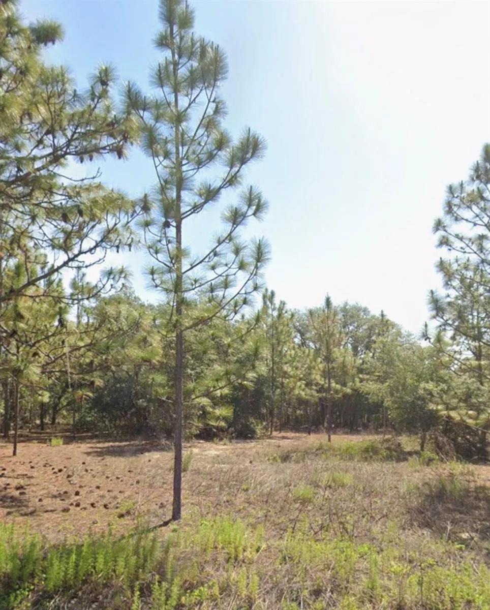TBD SW FLORAL COURT Dunnellon, FL 34431