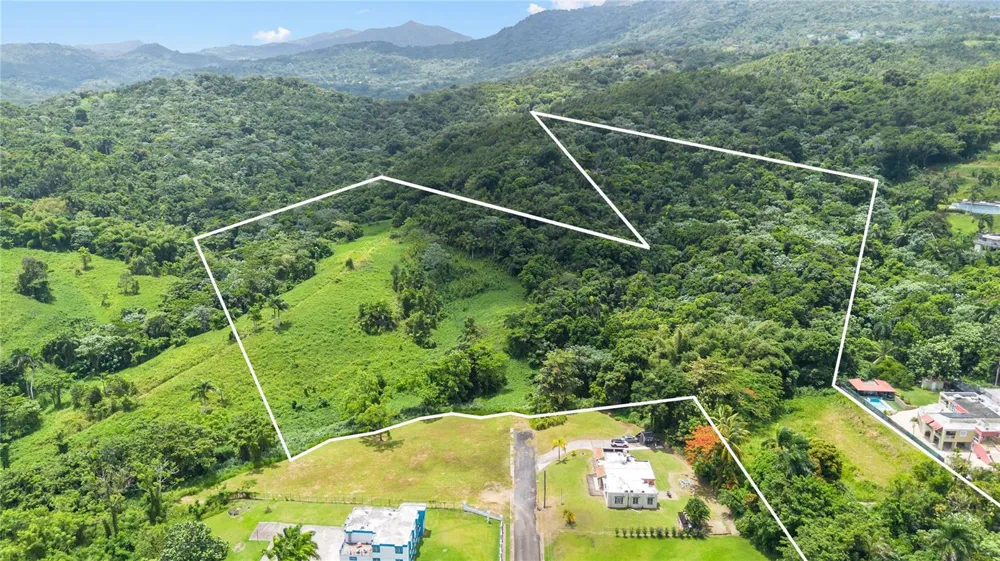 968 BO. ZARZAL Rio Grande, PR 00745