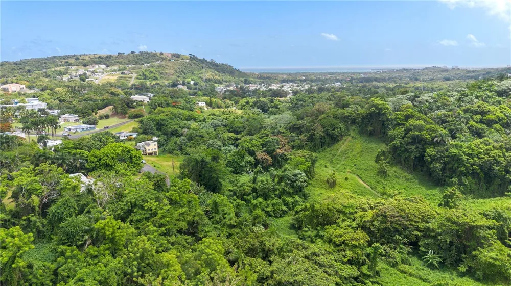 968 BO. ZARZAL Rio Grande, PR 00745