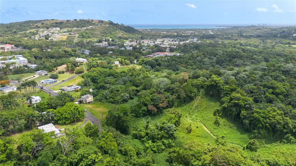 968 BO. ZARZAL Rio Grande, PR 00745