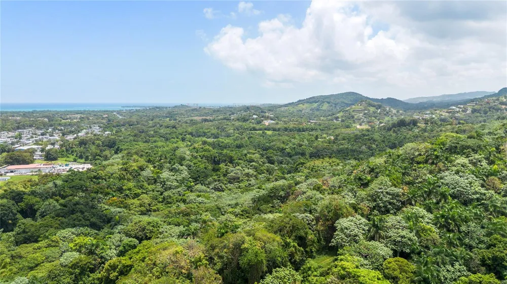 968 BO. ZARZAL Rio Grande, PR 00745