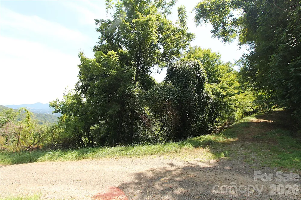 310 High Cliff Drive Waynesville, NC 28786