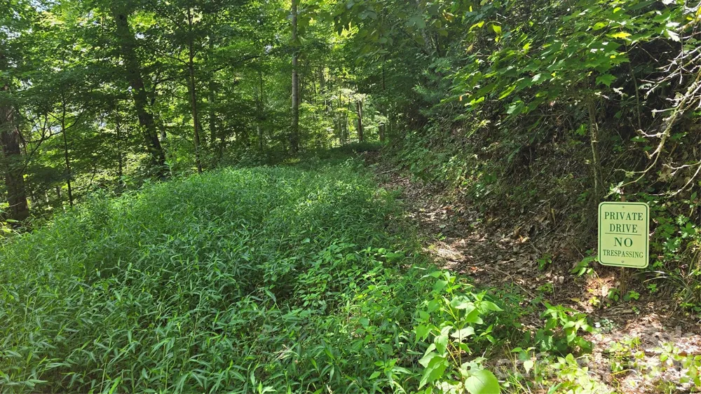 310 High Cliff Drive Waynesville, NC 28786