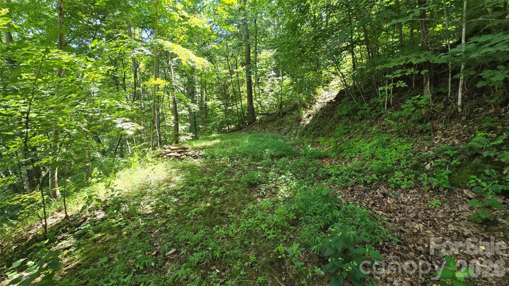 310 High Cliff Drive Waynesville, NC 28786