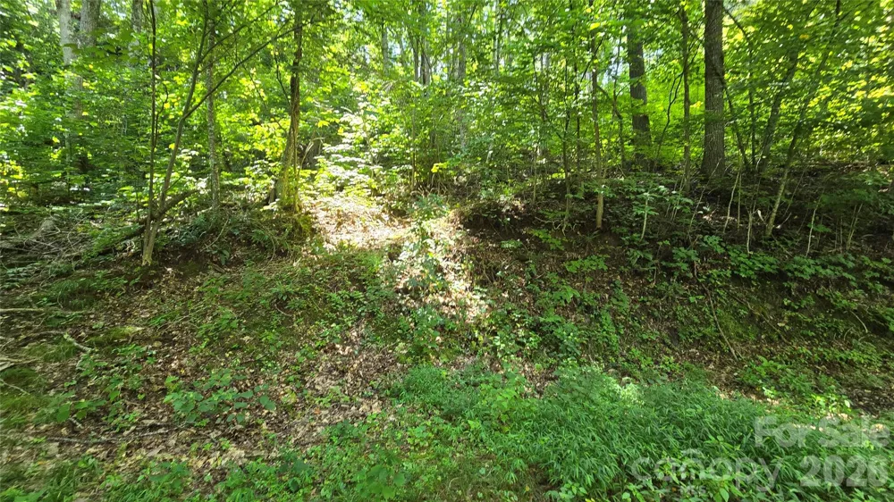 310 High Cliff Drive Waynesville, NC 28786
