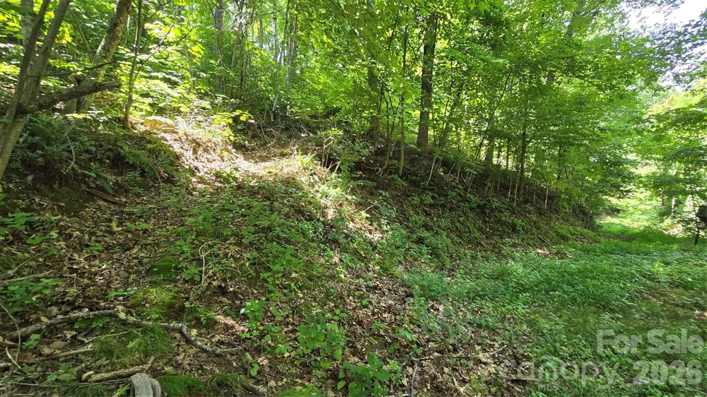 310 High Cliff Drive Waynesville, NC 28786