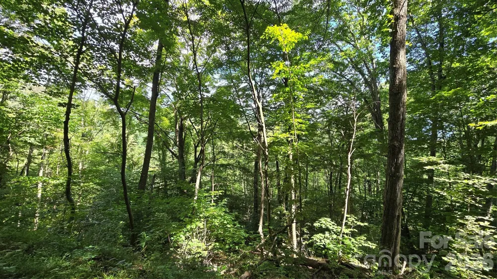 310 High Cliff Drive Waynesville, NC 28786