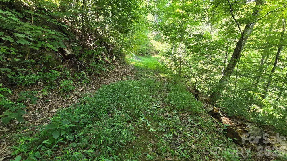 310 High Cliff Drive Waynesville, NC 28786