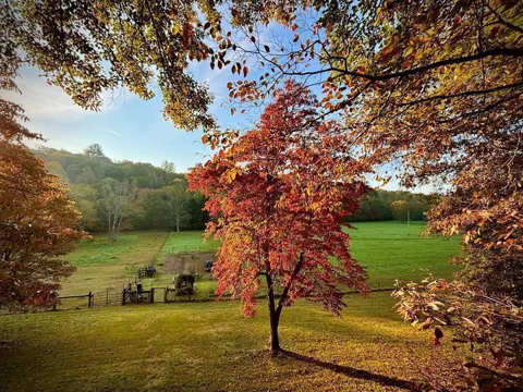 138 Wolf Creek Estates
